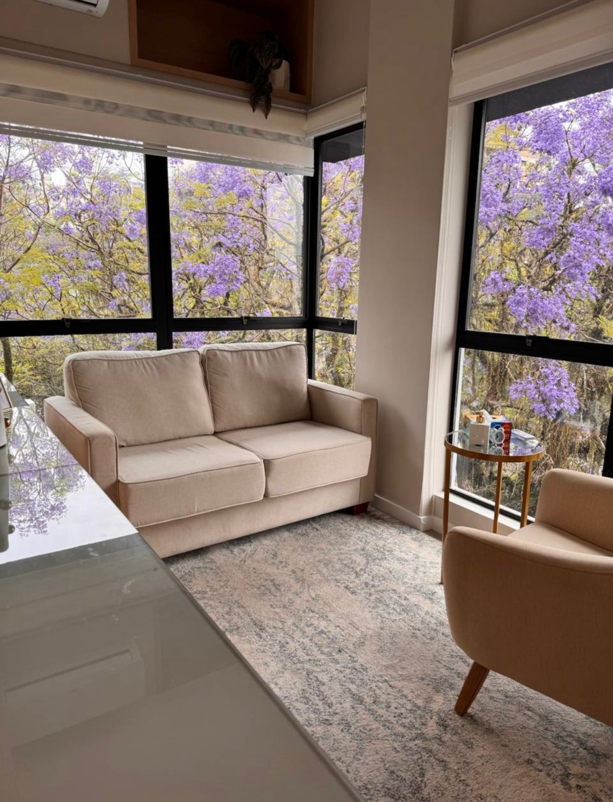Sala de atendimento — sofá e janela com jacarandás